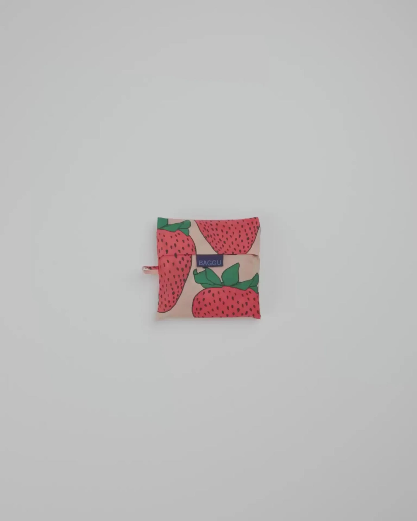 BIG BAGGU - US 5772
