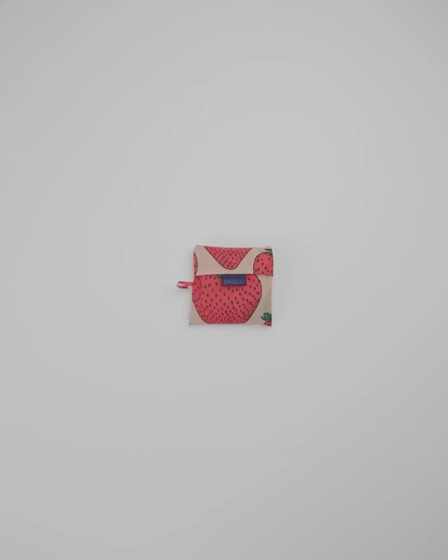 STANDARD BAGGU - US 8723